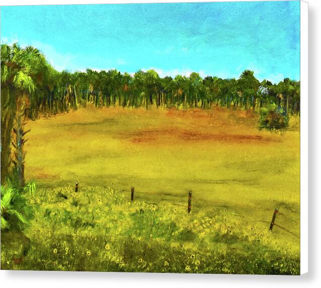 Florida Wildflowers, #2 - Canvas Print
