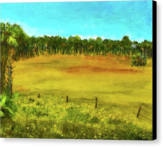 Florida Wildflowers, #2 - Canvas Print