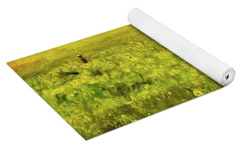 Florida Widlflowers, 2 - Yoga Mat