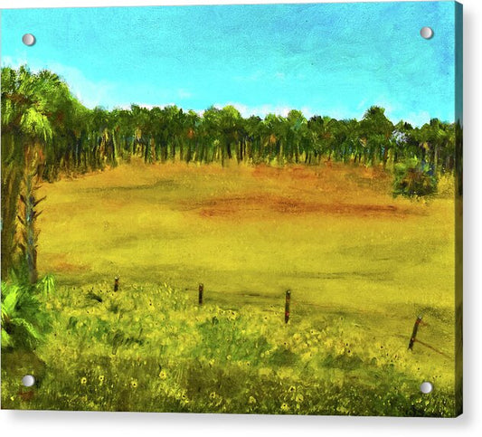 Florida Widlflowers, 2 - Acrylic Print