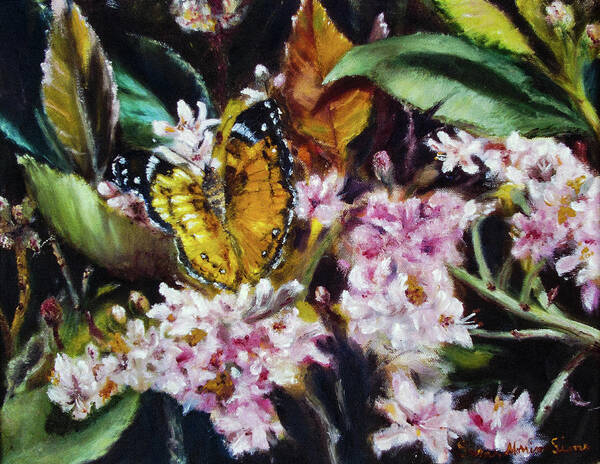 Hidden Beauty - Art Print