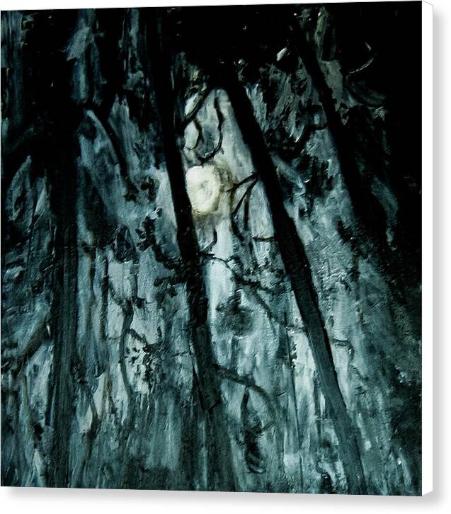 Moonlit Forest - Canvas Print