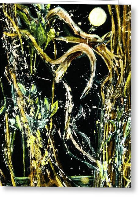 Serpent Moon - Greeting Card