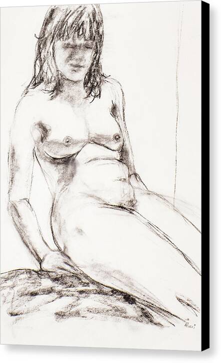 Shyness - Canvas Print