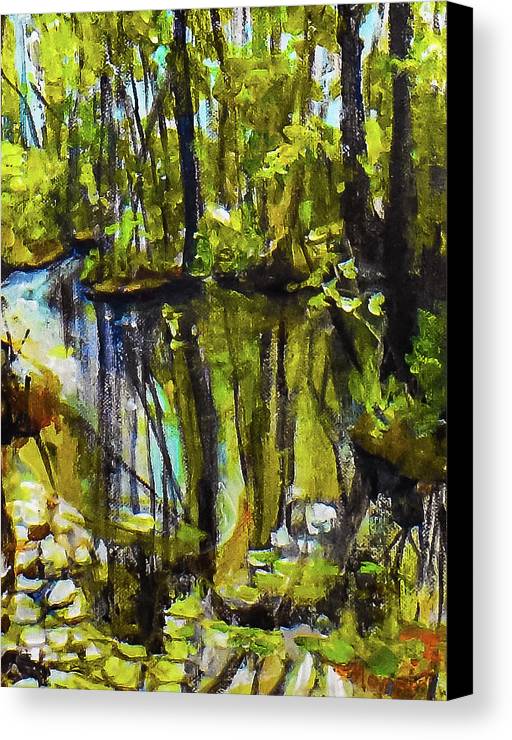 Creek, after rain - Canvas Print