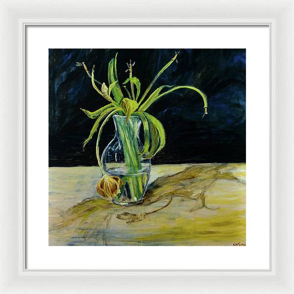 Daffodil Revealed - Framed Print