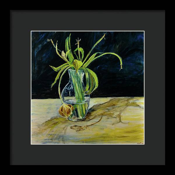 Daffodil Revealed - Framed Print