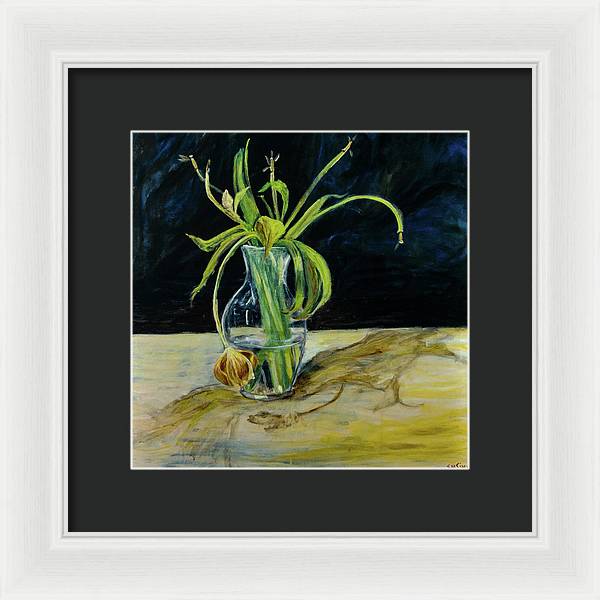 Daffodil Revealed - Framed Print