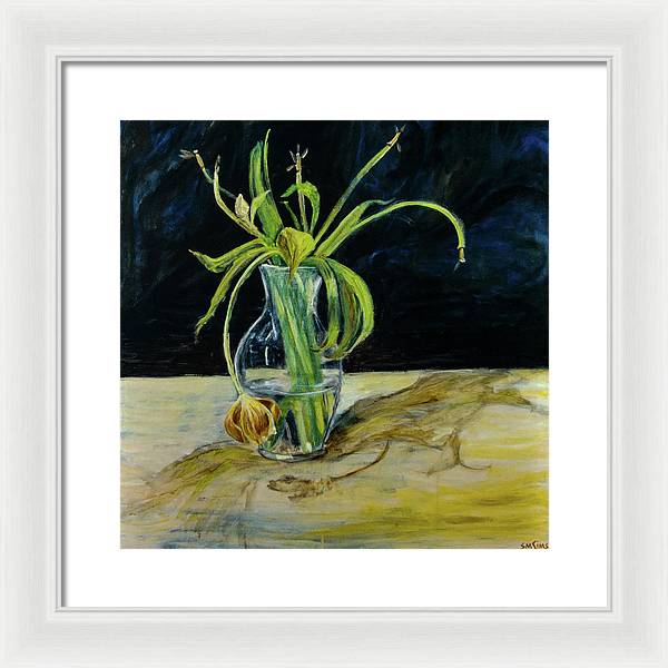 Daffodil Revealed - Framed Print