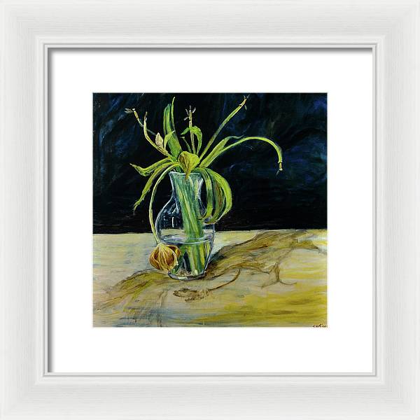 Daffodil Revealed - Framed Print