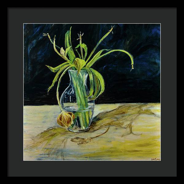 Daffodil Revealed - Framed Print