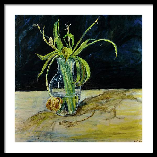 Daffodil Revealed - Framed Print