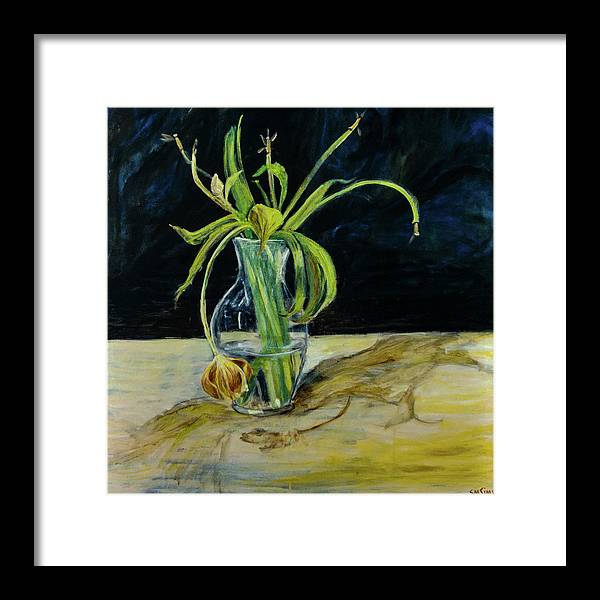 Daffodil Revealed - Framed Print