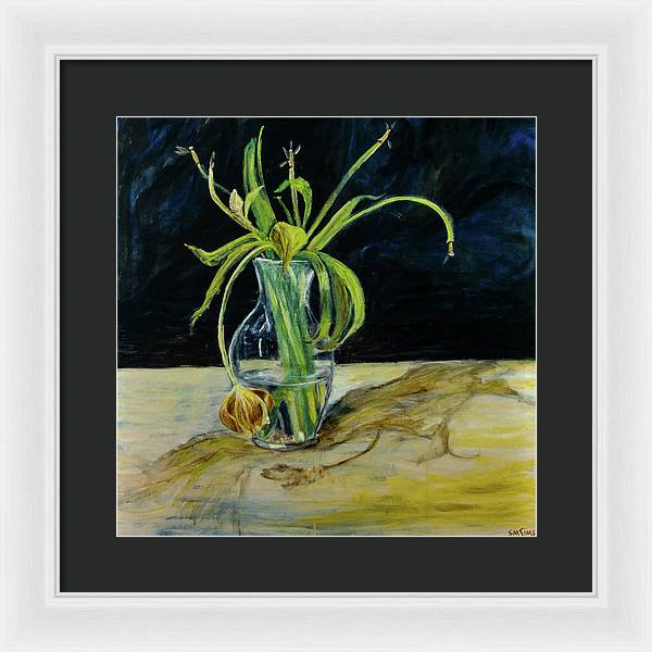 Daffodil Revealed - Framed Print