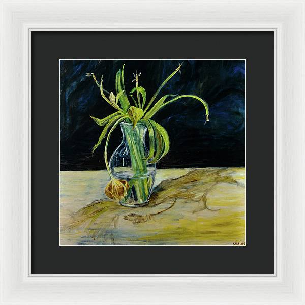 Daffodil Revealed - Framed Print