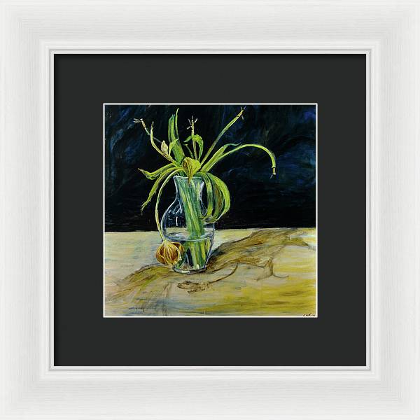 Daffodil Revealed - Framed Print