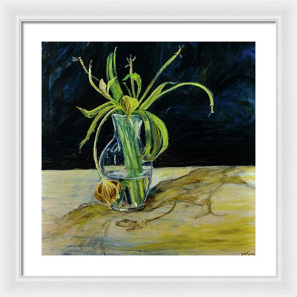 Daffodil Revealed - Framed Print