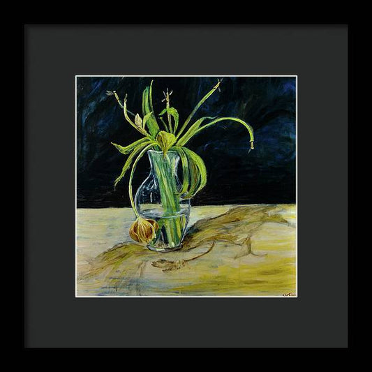 Daffodil Revealed - Framed Print