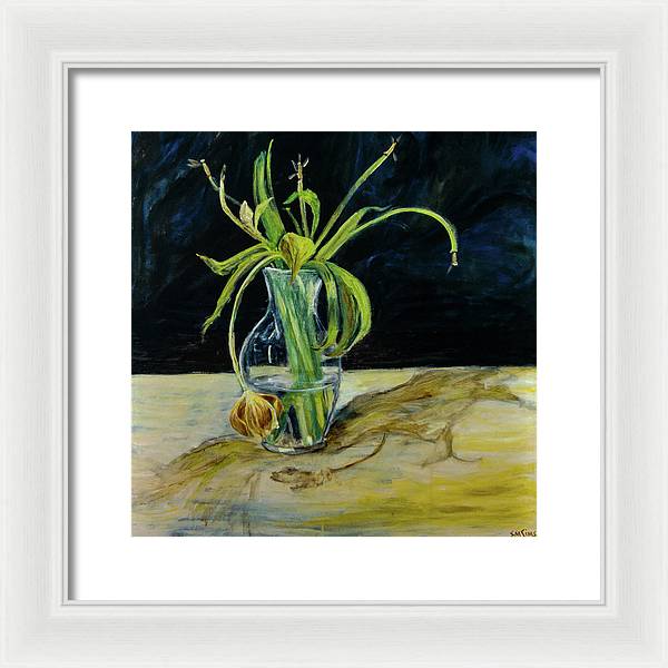 Daffodil Revealed - Framed Print