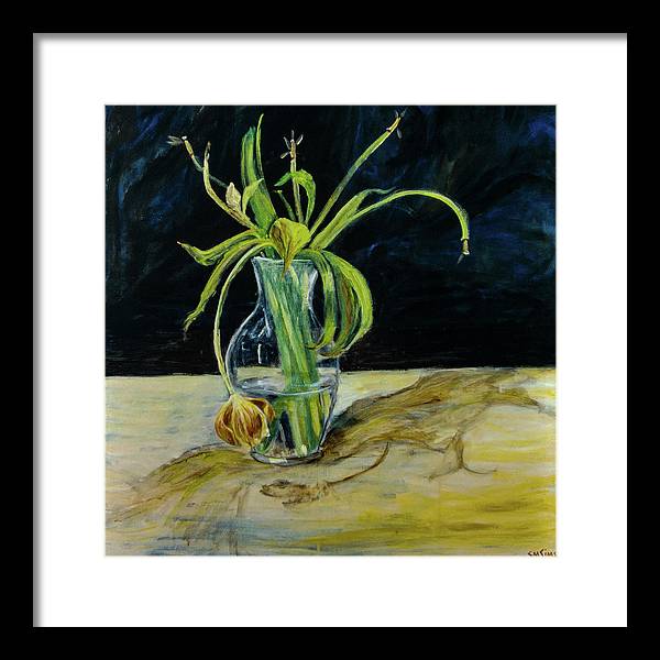 Daffodil Revealed - Framed Print
