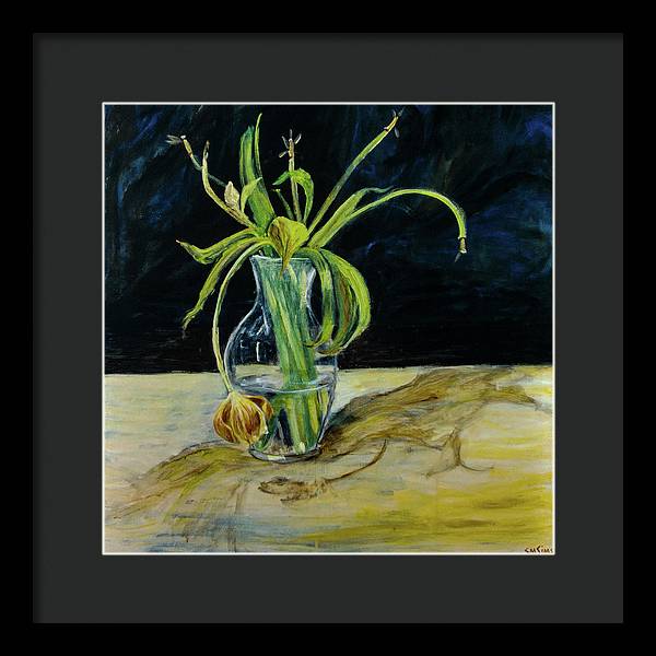 Daffodil Revealed - Framed Print