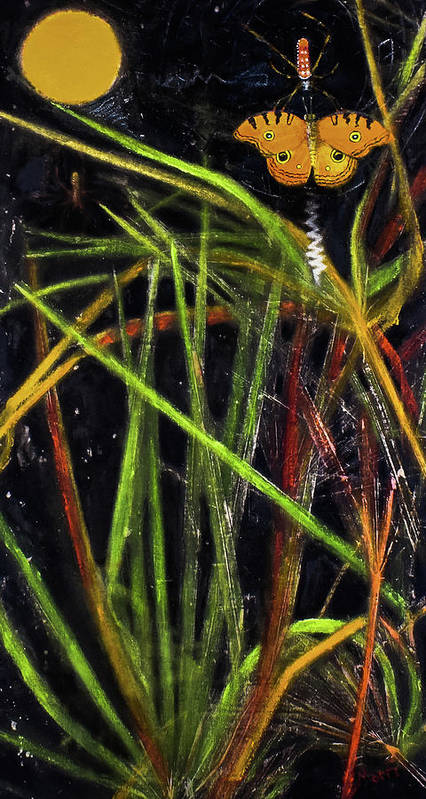 Harvest Moon - Spider signed, Drayton Island series - Art Print