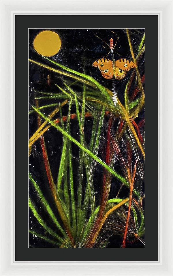 Harvest Moon - Spider signed, Drayton Island series - Framed Print