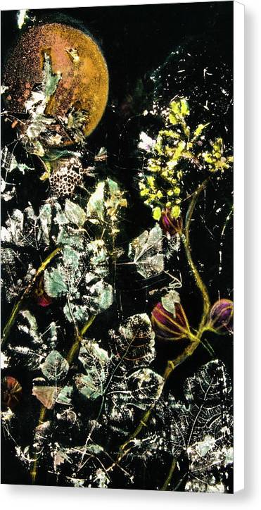 Masked Moon - Canvas Print