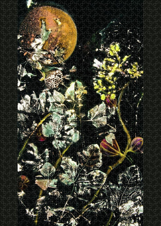 Masked Moon, Drayton Island series Puzzle