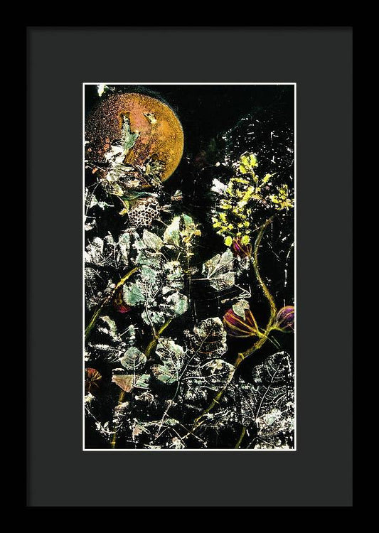 Masked Moon - Framed Print