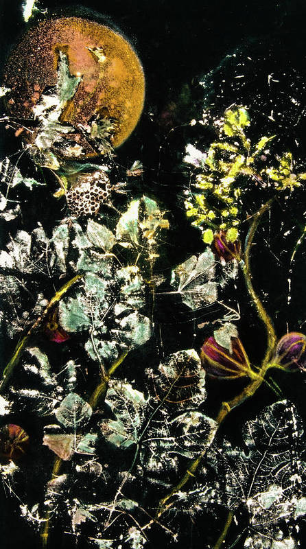 Masked Moon - Art Print