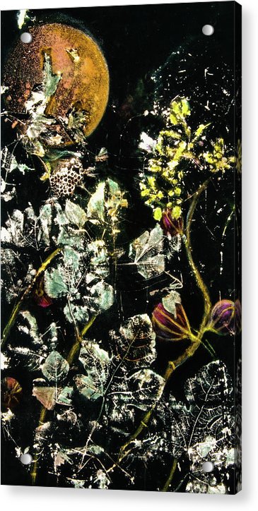 Masked Moon - Acrylic Print