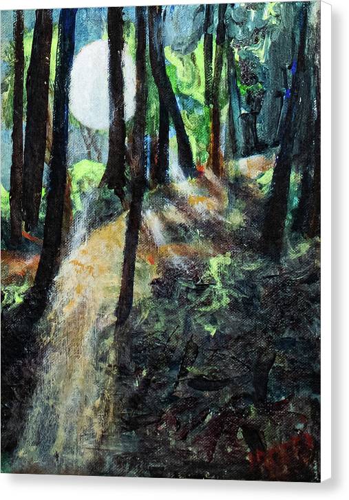 Moon Guidance - Canvas Print
