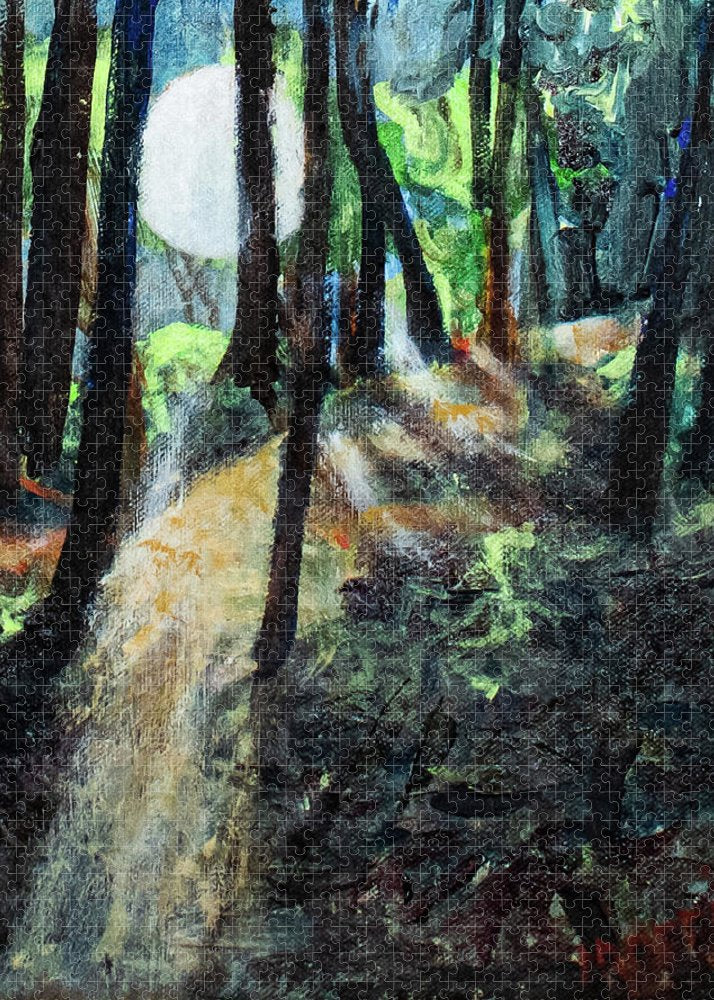 Moon Guidance - Puzzle