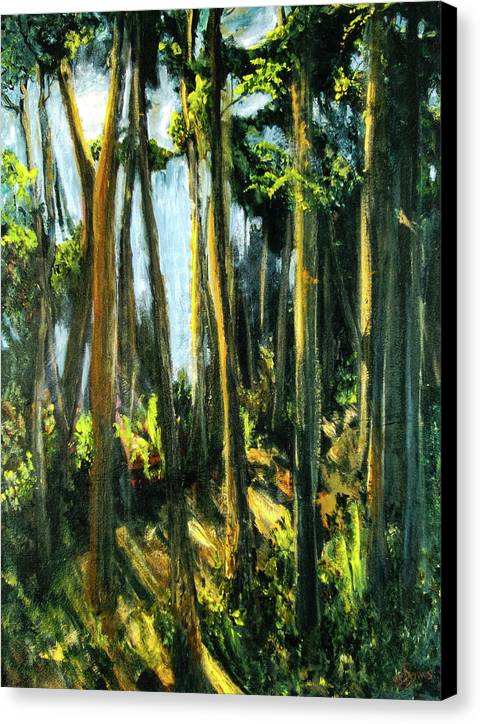 Moonlit Path along the River - Canvas Print