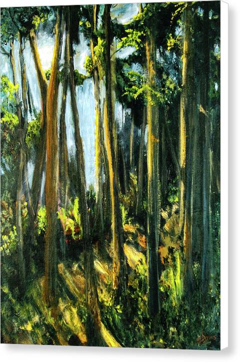 Moonlit Path along the River - Canvas Print