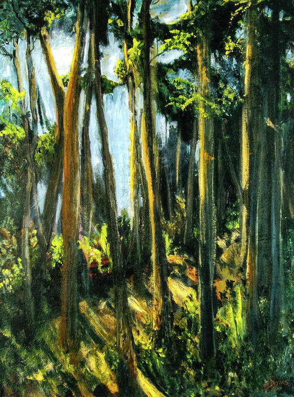 Moonlit Path along the River - Art Print
