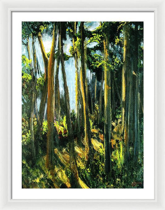 Moonlit Path along the River - Framed Print