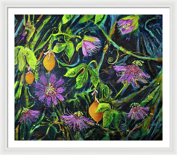 Passion Flower Vine - Wildflower series - Framed Print