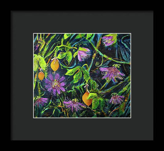 Passion Flower Vine - Wildflower series - Framed Print