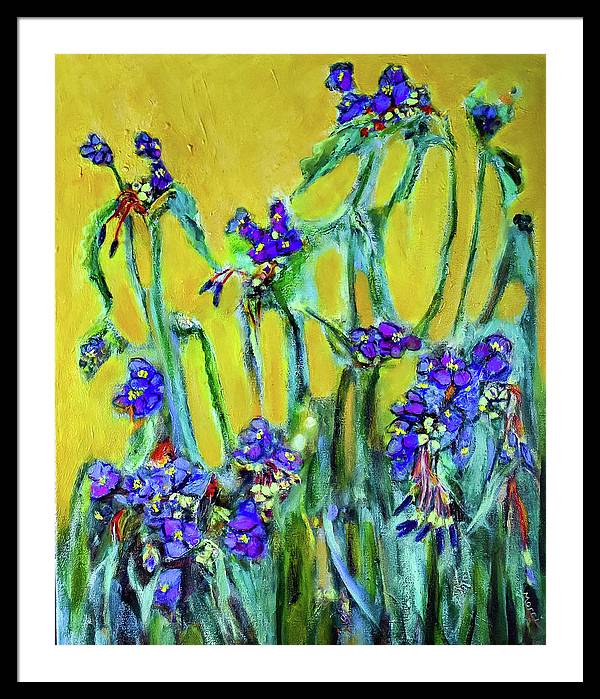 Spiderworts Wildflower - Framed Print
