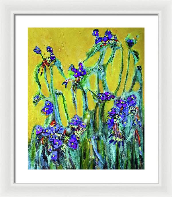 Spiderworts Wildflower - Framed Print