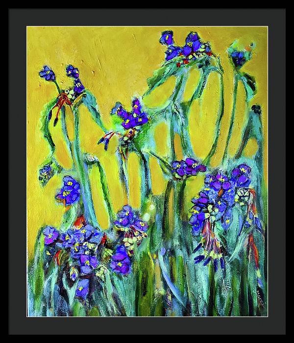 Spiderworts Wildflower - Framed Print