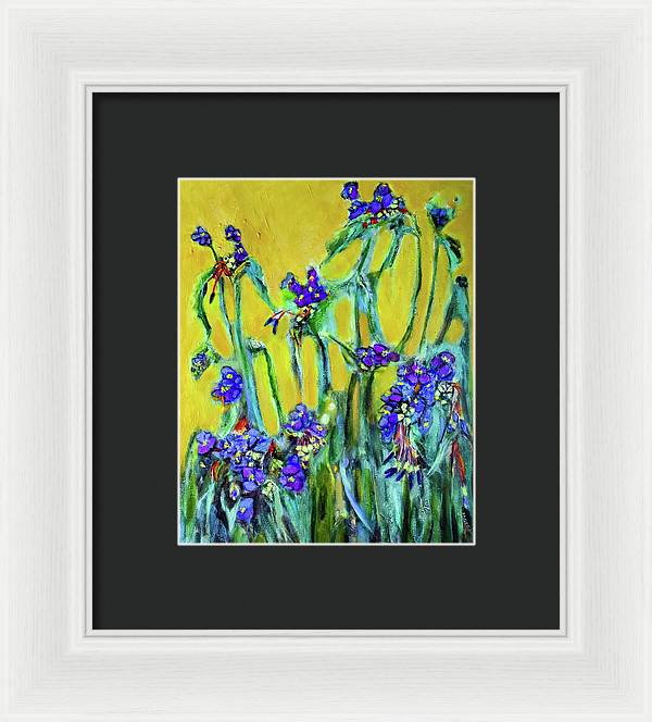 Spiderworts Wildflower - Framed Print