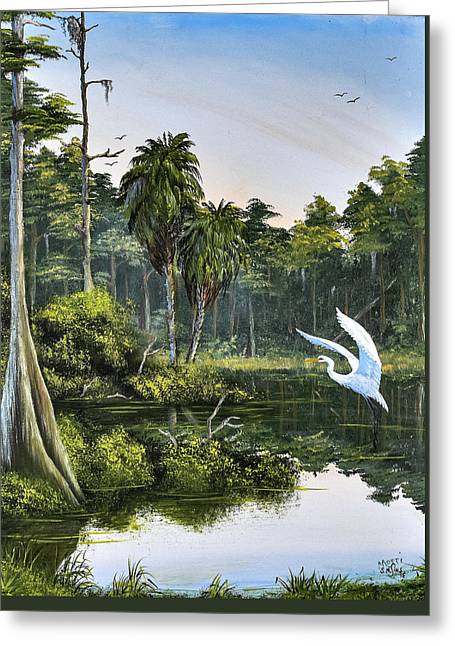 The Cove - early on - Greeting Card