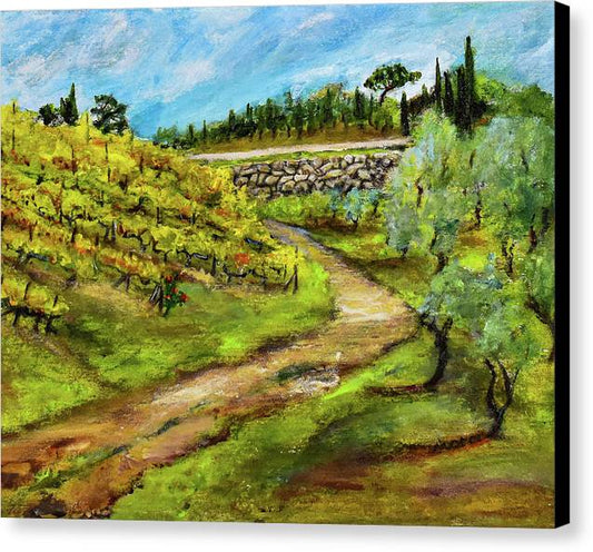 Vineyard Road - Tuscany, Italy 'en plein air - Canvas Print
