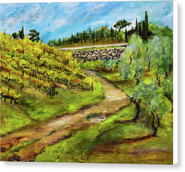 Vineyard Road - Tuscany, Italy 'en plein air - Canvas Print