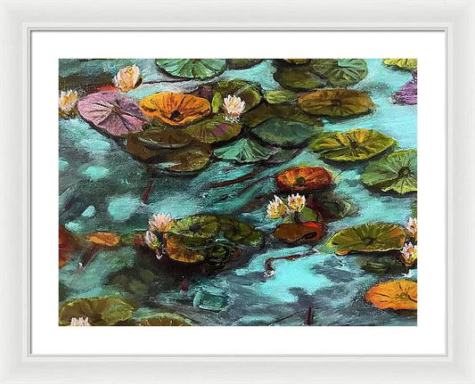 Water lilies area #1 C series - Framed Print
