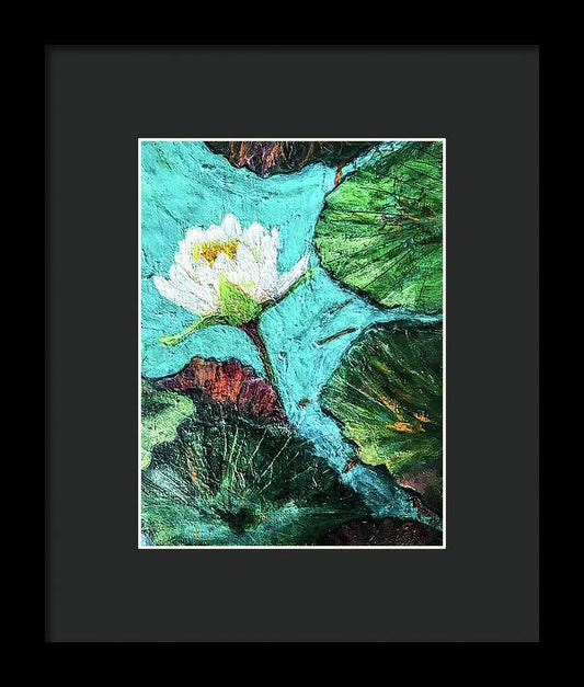 Water Lily Solo, #2 - Framed Print