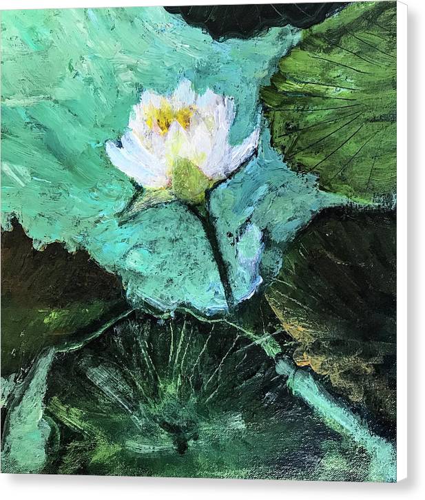 Water Lily, Solo #1 - Canvas Print
